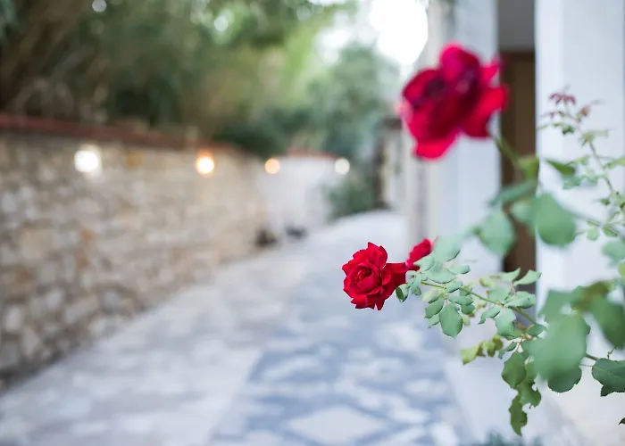 Bed & Breakfast Mb Pag 3*