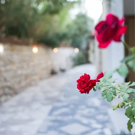 Nocleg ze śniadaniem Mb Pag 3*