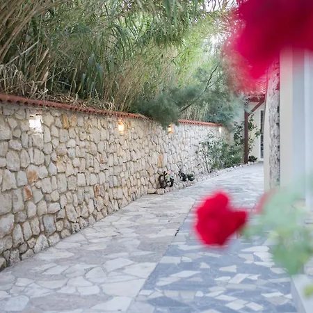 Nocleg ze śniadaniem Mb Pag 3*